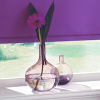 Purple Roller Blinds